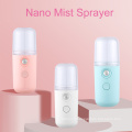 Ion Nano Face Spray Portable Facial Steamer